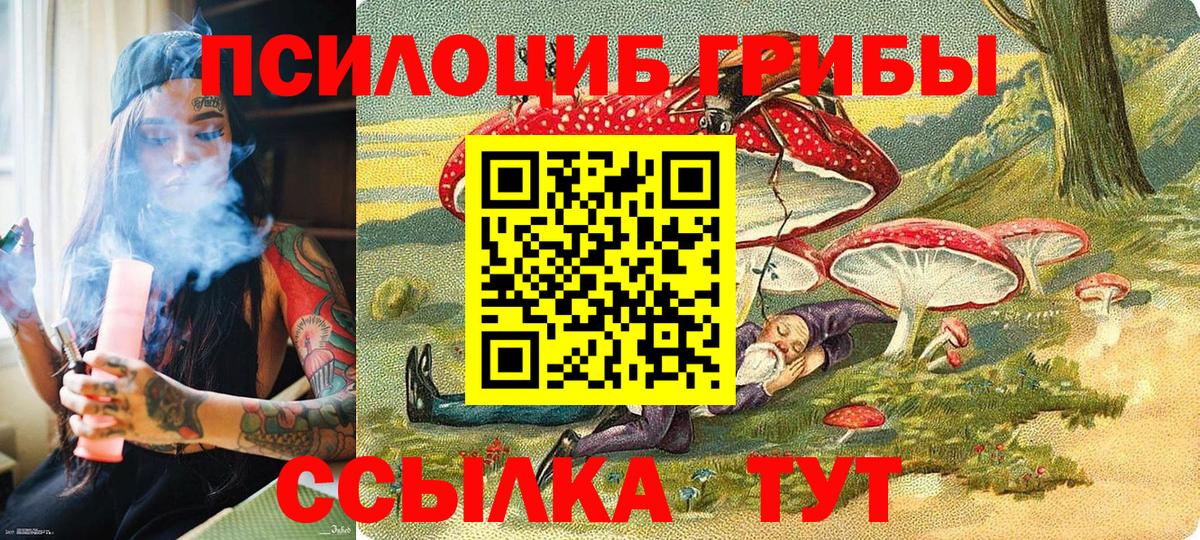 купить  сайты  Галлюциногенные грибы MAGIC MUSHROOMS  Вход с VPN  Унеча 